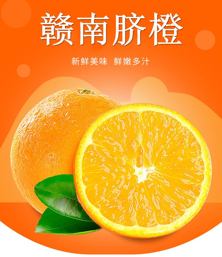 赣南脐橙新鲜现摘 10斤